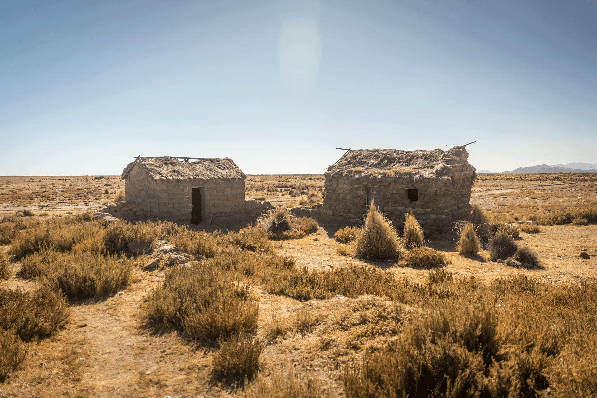 Homes