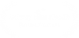 Galway Film Festival